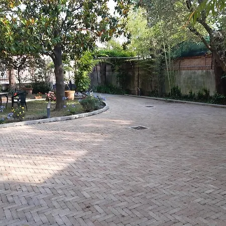 Magnolia Park Пиза